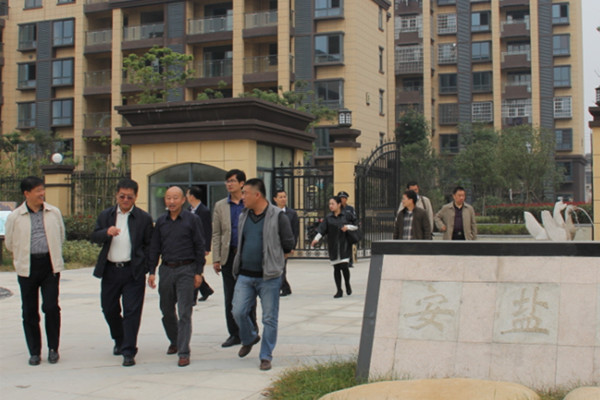 王書(shū)記一行參觀(guān)安鹽曲陽(yáng)國際小區