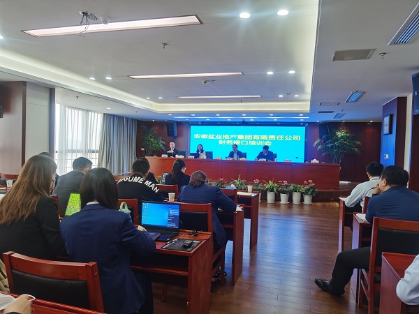 徽鹽地產(chǎn)集團開(kāi)展明源與財務(wù)接口實(shí)操培訓